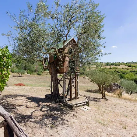 Farm stay Torre Gialluise Gesualdo