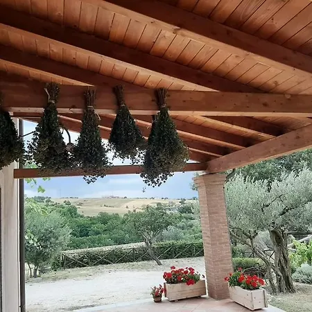 Torre Gialluise Farma Gesualdo