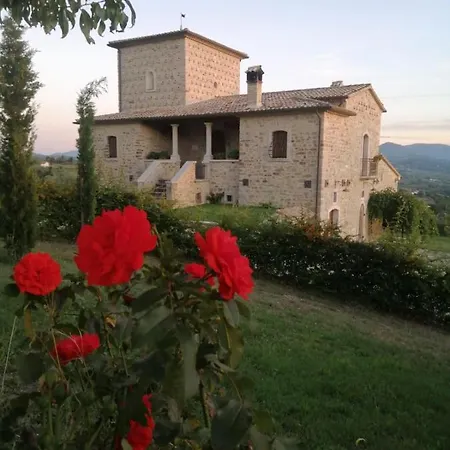 Torre Gialluise Farma Gesualdo